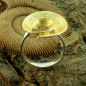 Preview: Silberring Spiraldesign